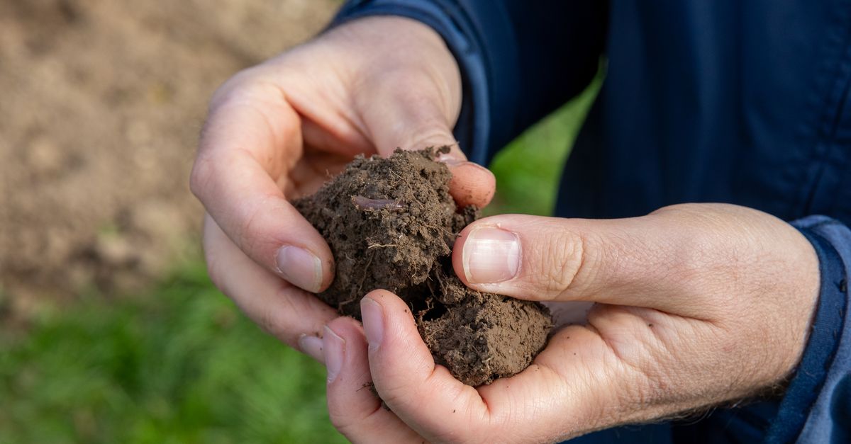 (c) Soil.ch