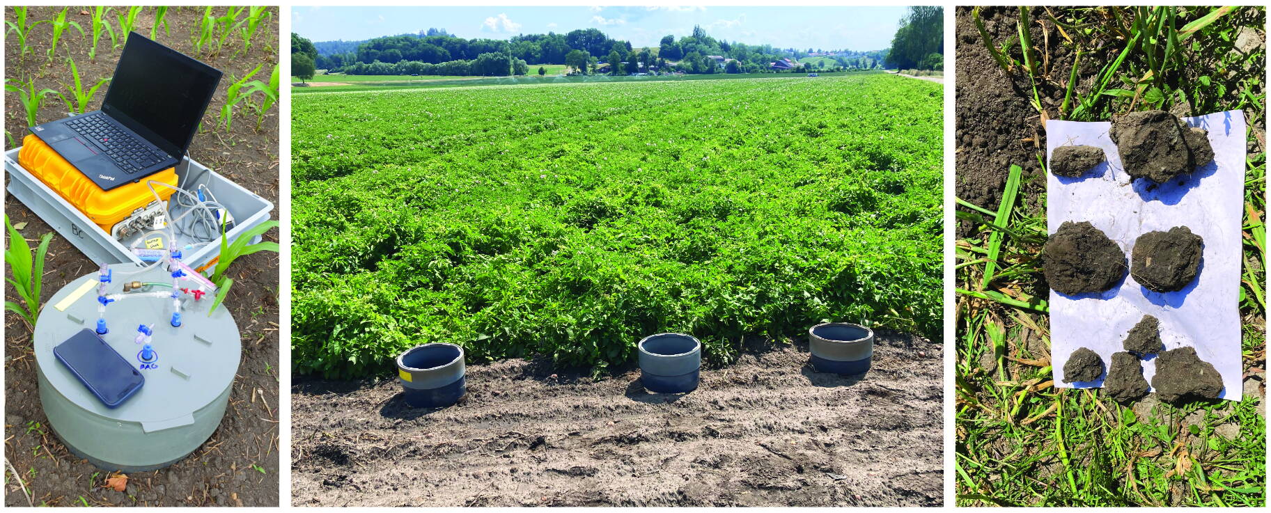 fig_5_measurements_field.jpg fig_5_measurements_field.jpg